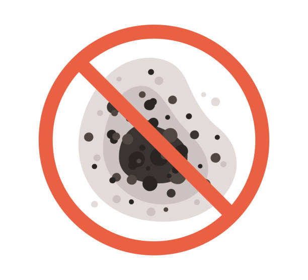 Best Environmental Consulting for Mold Prevention  in Hemet, CA