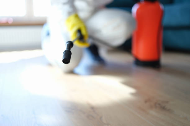  Hemet, CA Mold Removal Pros
