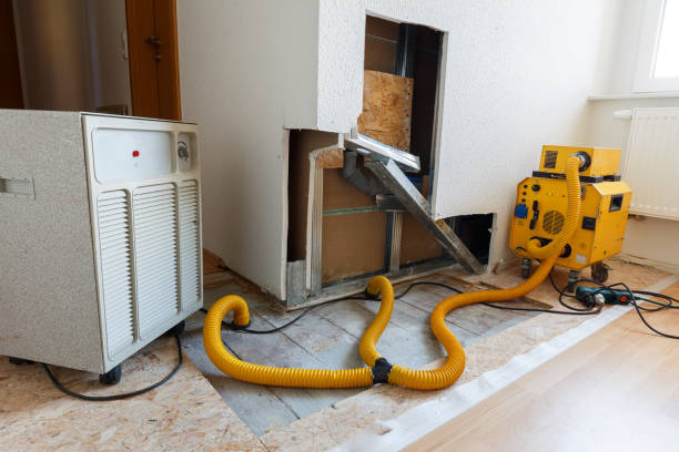 Best HVAC Mold Inspection and Cleaning  in Hemet, CA